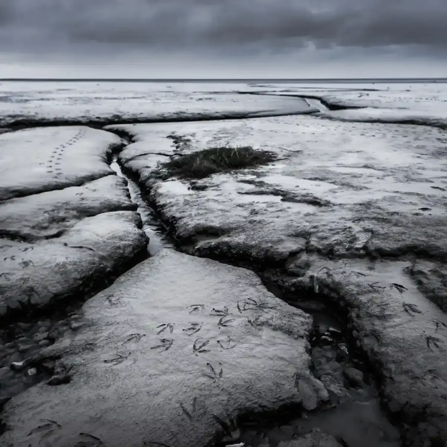 Iceland Landscapes #19