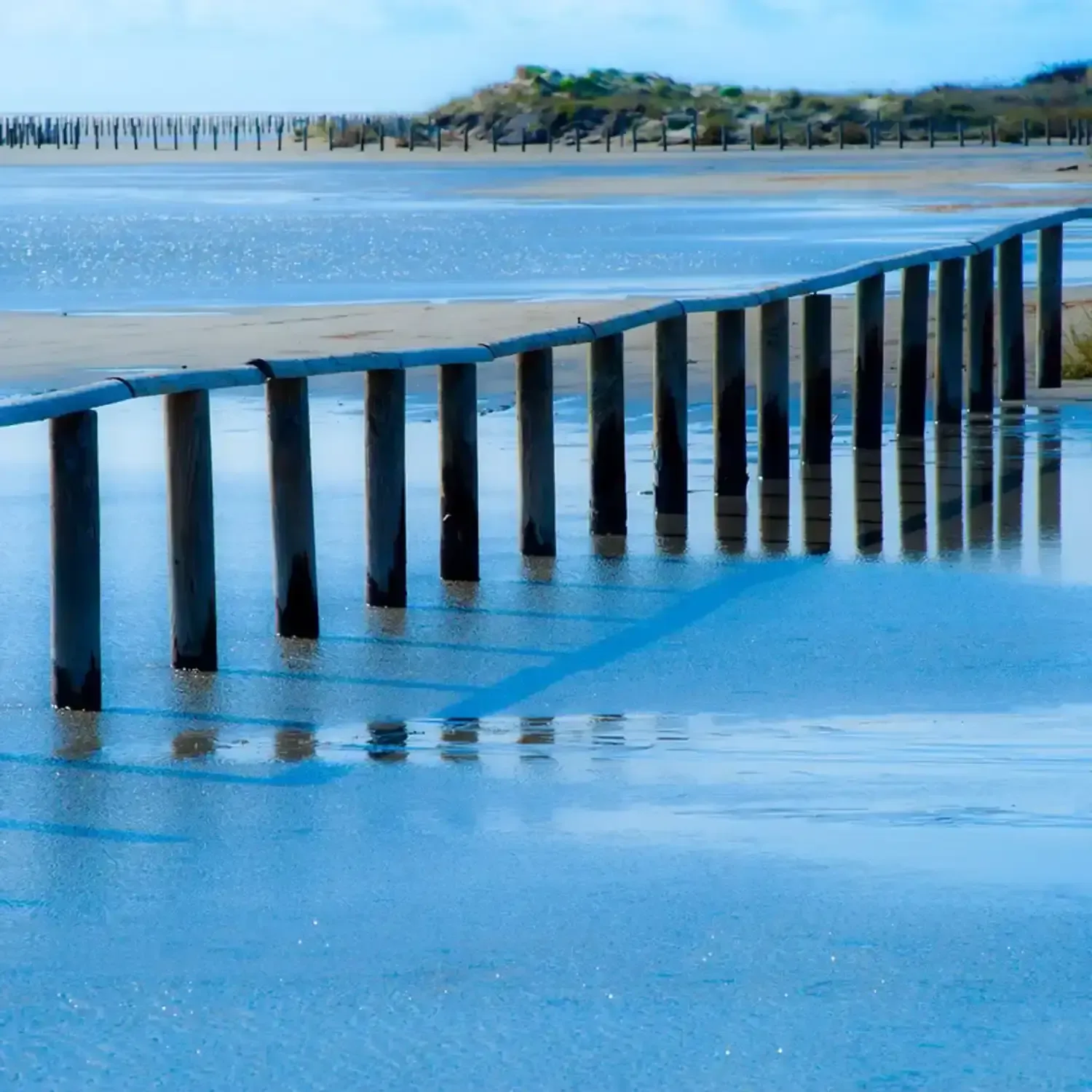 Rou de la Mer, Camargue, MP2013 – Le Grand Bleu